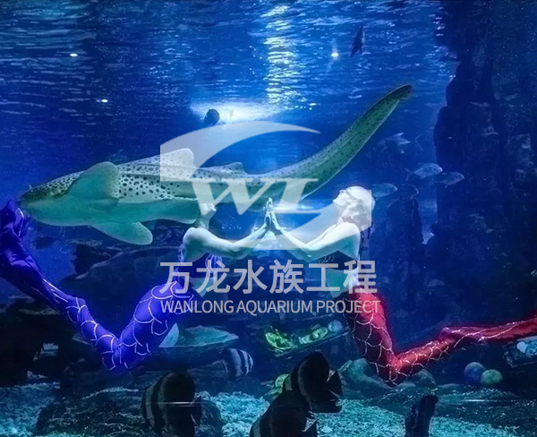 江西大型海洋主题公园