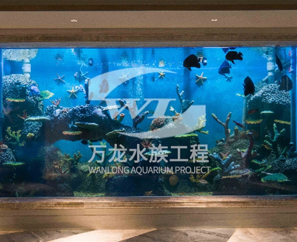 江西诸暨御江湾海底景观设计