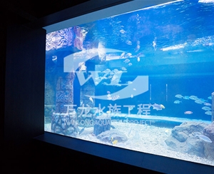 江西大型亚克力...