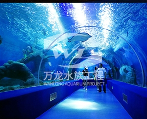 江西海底景观设计