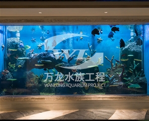 江西海底景观设计